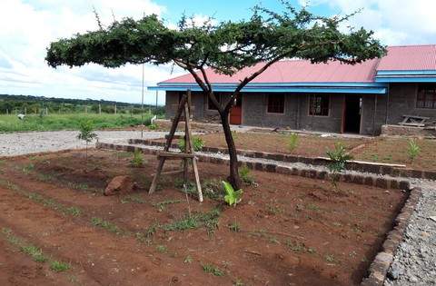 Actions de maraîchage près d'une école Massaï