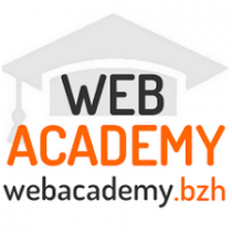 BSM_partenaire_web_academy